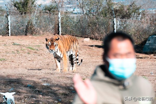 济南市十大旅游景点（山东济南最值得去的十个景点）
