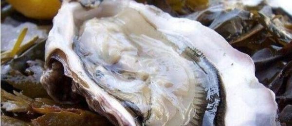 世界十大名贵海鲜排行榜，澳洲帝王蟹仅仅排在第二！你吃过几个？