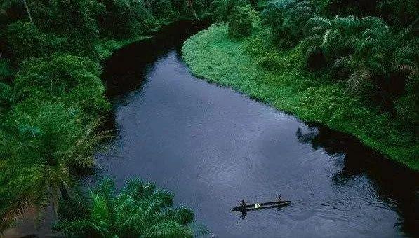 世界十大最长河流（世界上最长的河流排名前十）