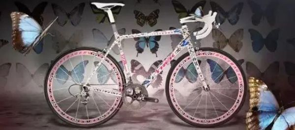 世界上最贵的自行车多少钱（崔克蝴蝶自行车价格3200万）