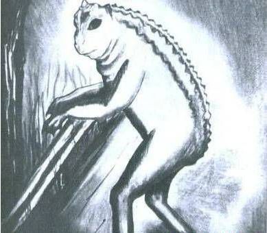 世界上十大神秘生物（不可思议的10种神秘生物）
