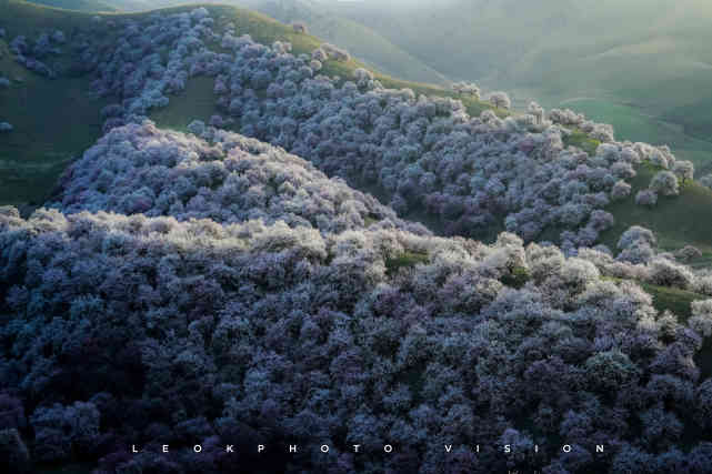 情侣必去十大旅游景点，最适合情侣旅游的10个胜地
