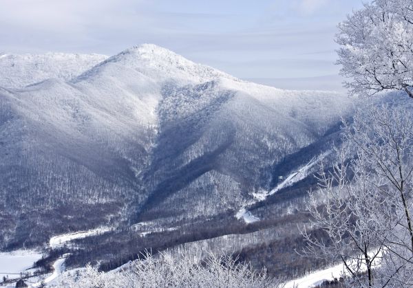 中国十大滑雪场排行榜（全国十大滑雪场前十名）
