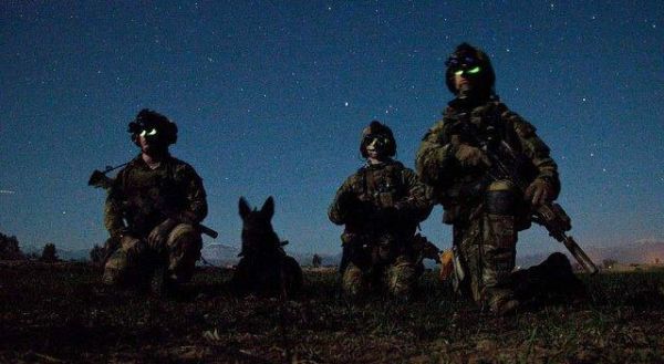 世界十大警犬，史上10大特级军犬