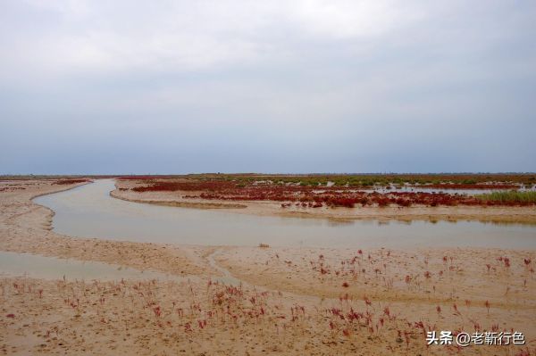 山东旅游必去十大景点（山东省旅游值得去的10个地方）