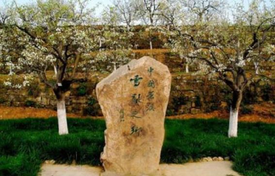 广元旅游景点有哪些地方（四川广元十大旅游景点）