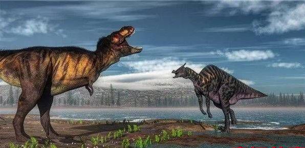 世界上十大神秘生物（不可思议的10种神秘生物）