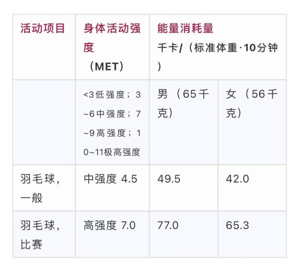 打羽毛球的十大好处，打羽毛球可以带来10个好处盘点