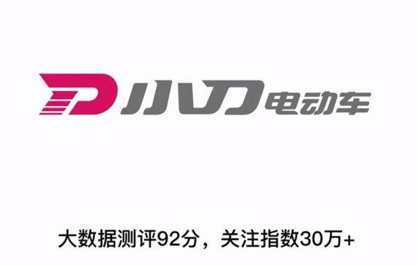 中国十大电动车品牌排行榜（电瓶车品牌排行榜十大名牌）