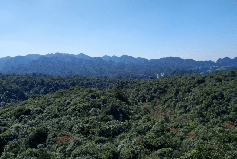 广西旅游必去十大景点排名（广西旅游10个好去处推荐）