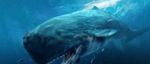 史前十大海洋巨兽排行榜（史前海洋10大巨兽）