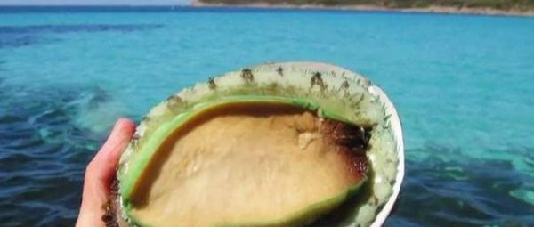 世界十大名贵海鲜排行榜，澳洲帝王蟹仅仅排在第二！你吃过几个？
