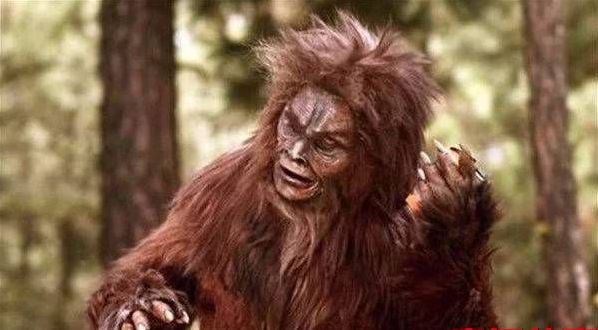 世界上十大神秘生物（不可思议的10种神秘生物）