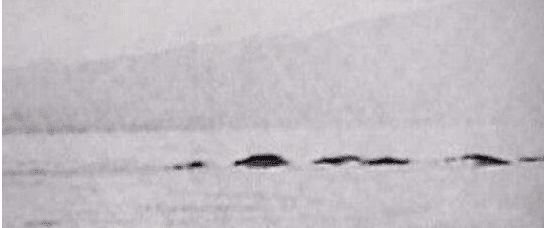世界十大水怪（世界10大未解之谜水怪）
