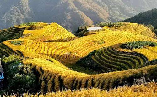 广西旅游必去十大景点排名（广西旅游10个好去处推荐）
