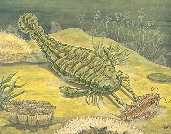 史前十大巨兽排名（比恐龙还要残暴的10种远古生物）