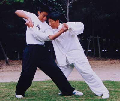 中国十大武术排名（中国武术最厉害前十排行榜）