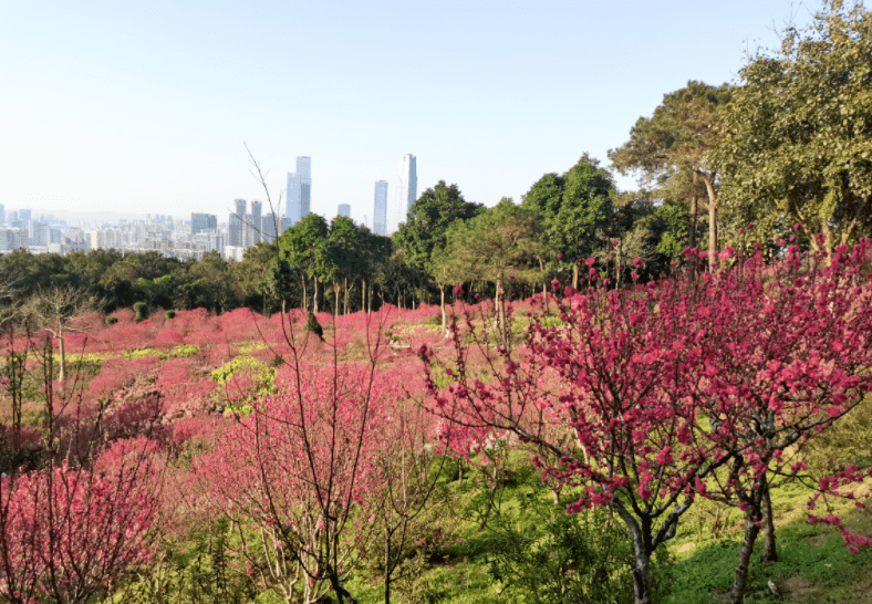 广西旅游必去十大景点排名（广西旅游10个好去处推荐）