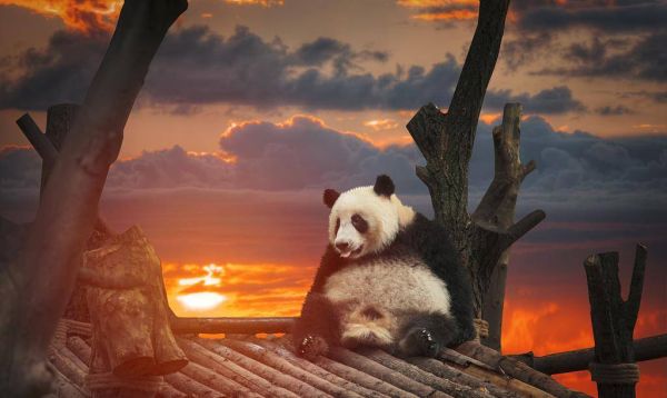 中国十大古都排名，中国历史上著名的十大古都