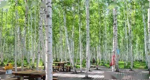 呼伦贝尔必去的十大景点（呼伦贝尔旅游景点排名前十）