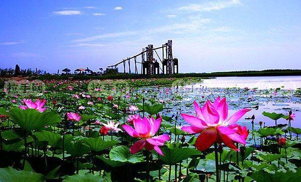 宁夏旅游必去十大景点（去宁夏值得去的10个旅游景区）