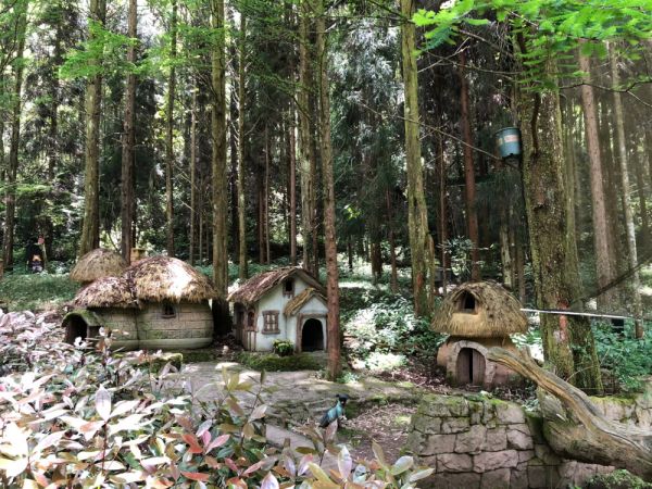 重庆旅游景点排行榜前十名（重庆十大最好玩的景点）