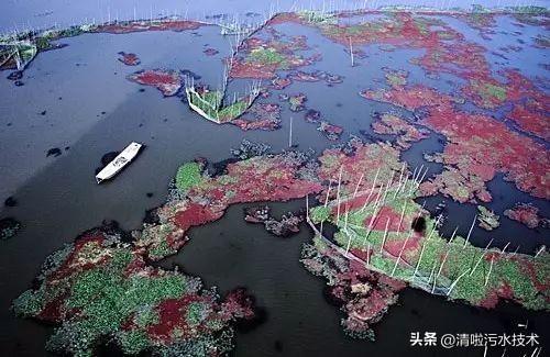 中国十大水污染事件（十大水污染事件）