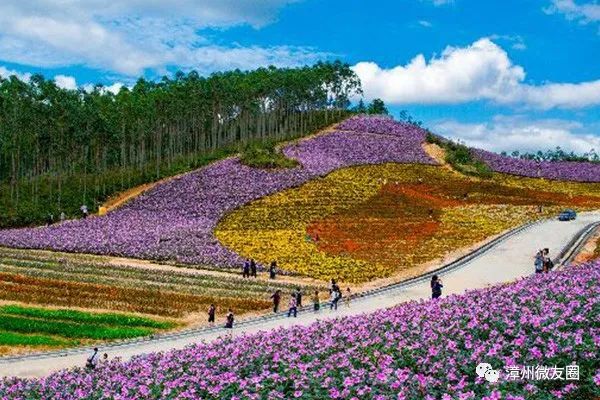 漳州有什么好玩的地方或景点，漳州旅游必去十大景点推荐