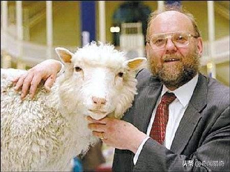 二十世纪影响人类的十大发明，促进人类社会飞速发展的10个发明