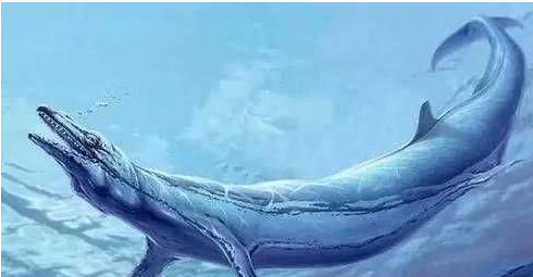 史前十大海洋巨兽排行榜（史前海洋10大巨兽）