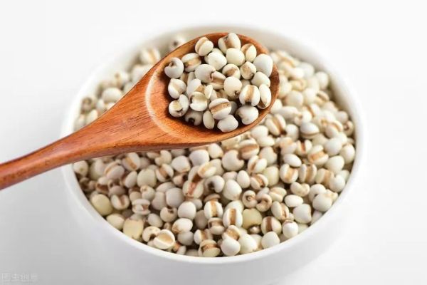 世界公认的十大抗衰老食物（抗衰老最好的10种食物）