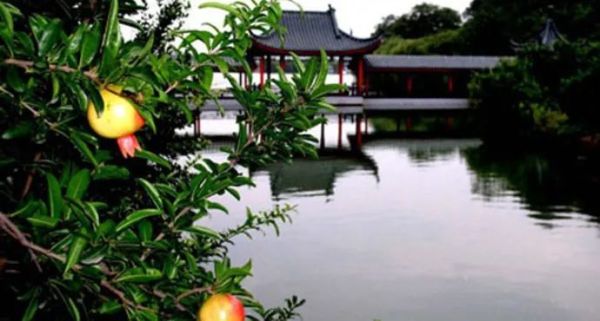 山东枣庄十大旅游景点（枣庄十大旅游景点推荐）