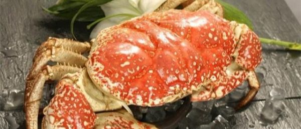 世界十大名贵海鲜排行榜，澳洲帝王蟹仅仅排在第二！你吃过几个？
