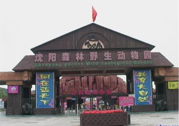 沈阳十大旅游景点排名（沈阳旅游必去十大景点推荐）