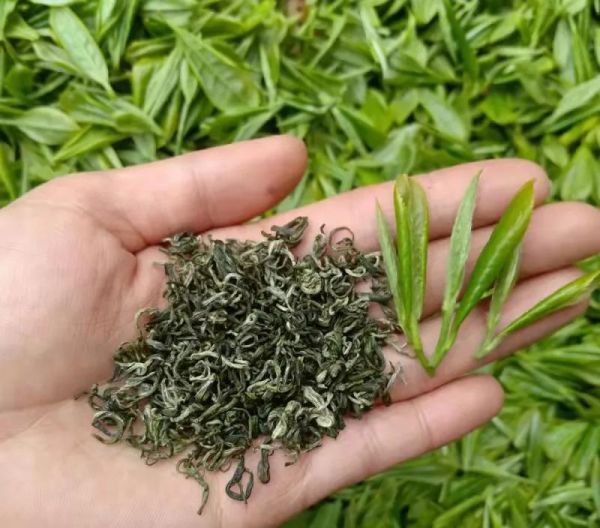 十大最贵的茶（中国十大天价茶盘点）