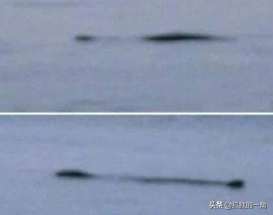 世界十大水怪有哪些（世界十大水怪之谜解答）
