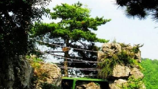广元旅游景点有哪些地方（四川广元十大旅游景点）