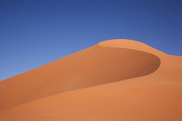 世界上面积最大的沙漠是什么（世界上最大的沙漠）