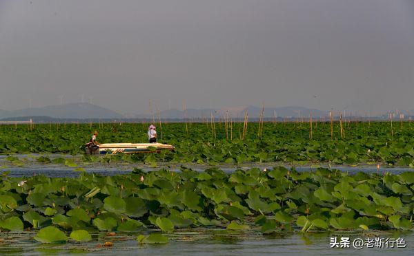 山东旅游必去十大景点（山东省旅游值得去的10个地方）