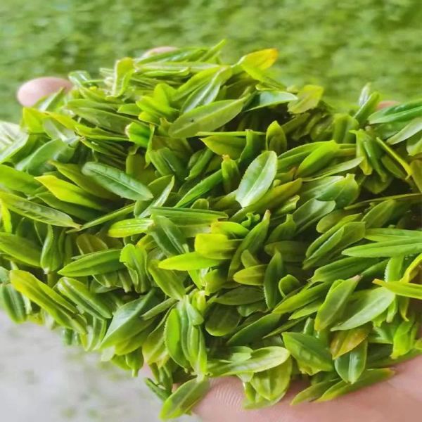 十大最贵的茶（中国十大天价茶盘点）