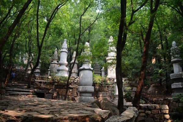 天津旅游必去十大景点（外地人游天津必去的十大景区）