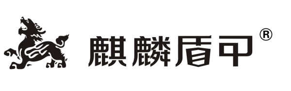 隐形车衣品牌排行榜前十名（2021年隐形车衣十大品牌）