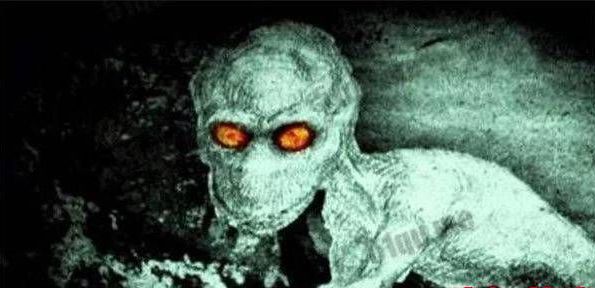 世界上十大神秘生物（不可思议的10种神秘生物）
