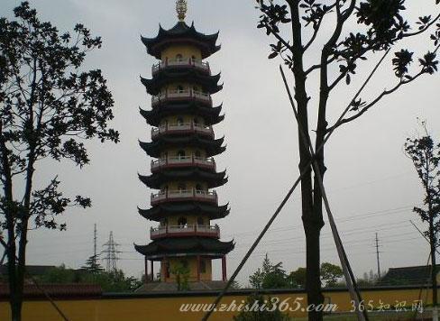 中国十大富裕村排名（中国最富有的10个村子）