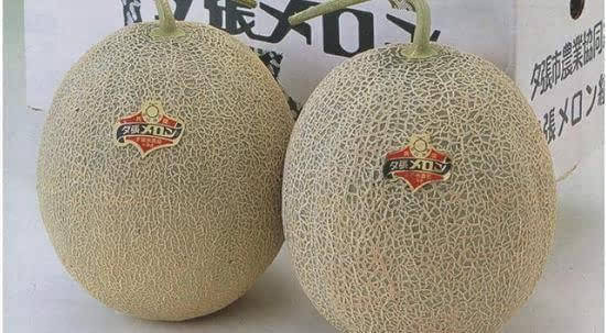 世界上最贵的食物排行榜前十名	 世界上最贵的10种食物