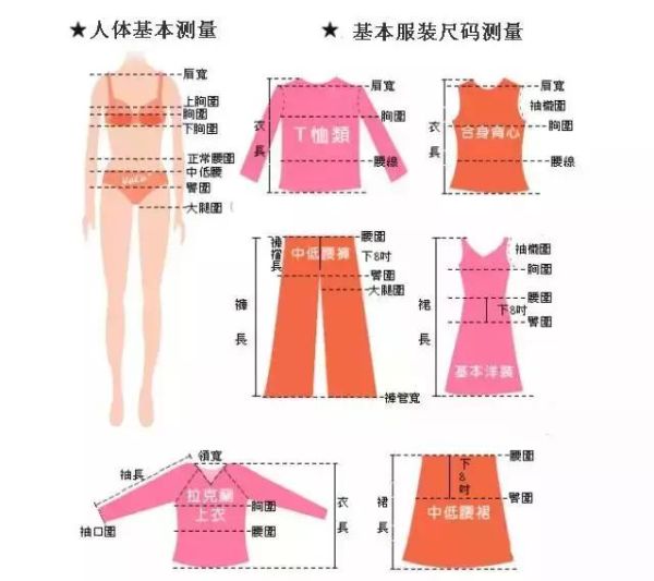 2尺6的腰围是多少厘米（附带专业服装尺码对照表）