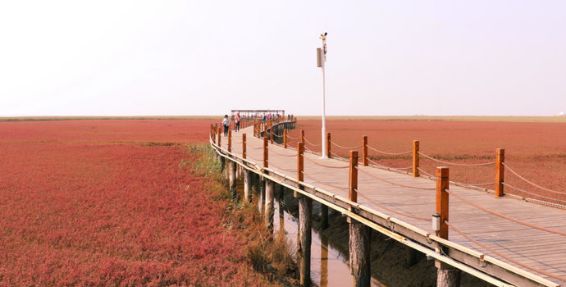 盘锦旅游攻略必玩的景点（盘锦旅游必去十大景点）