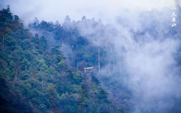 杭州旅游必去十大景点推荐（浙江杭州旅游最好玩的10个地方）