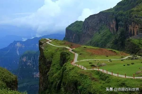 中国的自然保护区有哪些（中国十大自然保护区盘点）