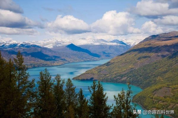 中国的自然保护区有哪些（中国十大自然保护区盘点）